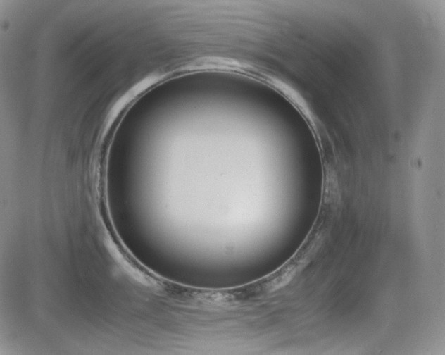 X0000081631003200701151420