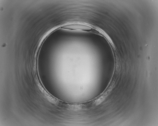 X0000081631004200701151420