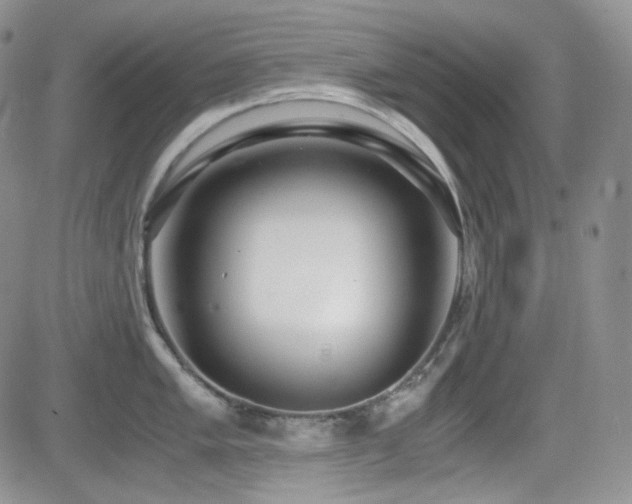 X0000081631005200701151420