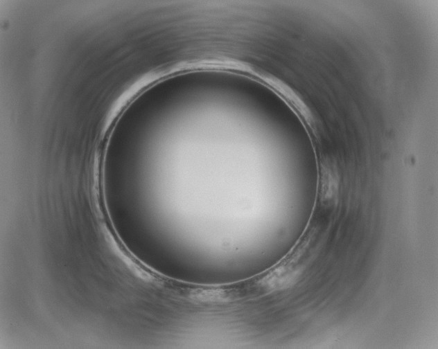 X0000081631006200701151420