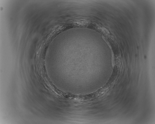 X0000081631009200701151419