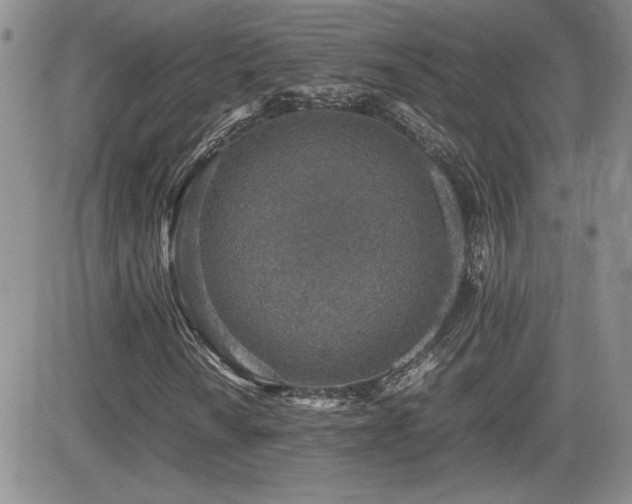 X0000081631010200701151419