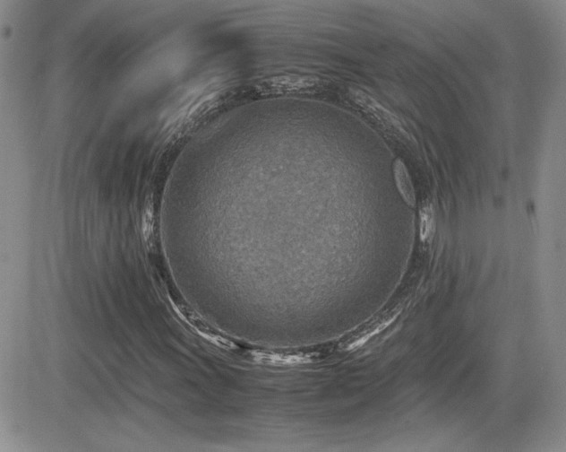 X0000081631011200701151419
