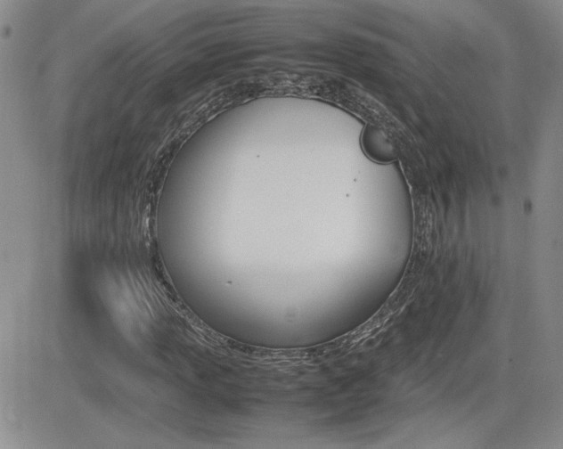 X0000081631013200701151419