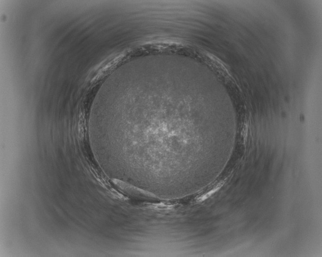 X0000081631014200701151419