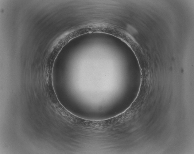 X0000081631016200701151419