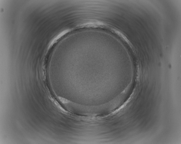 X0000081631018200701151419