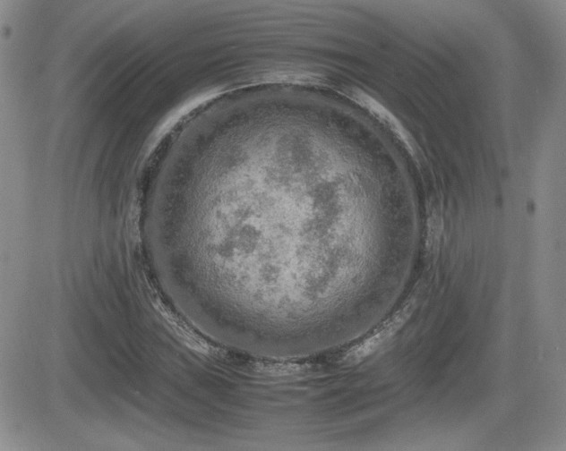 X0000081631019200701151419