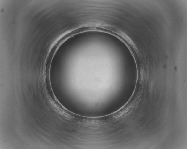 X0000081631020200701151419