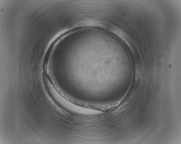 X0000081631024200701151420