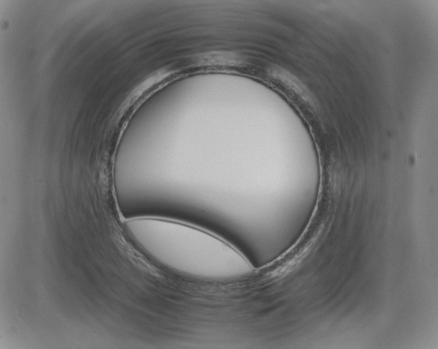 X0000081631025200701151420