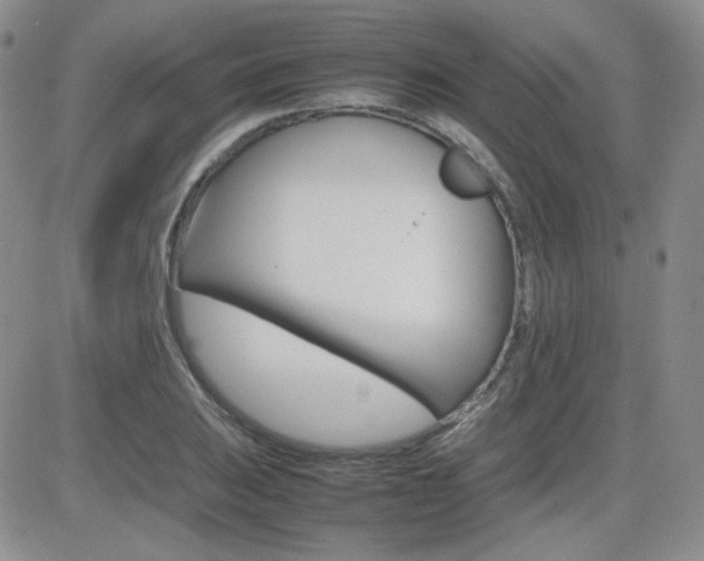 X0000081631031200701151420