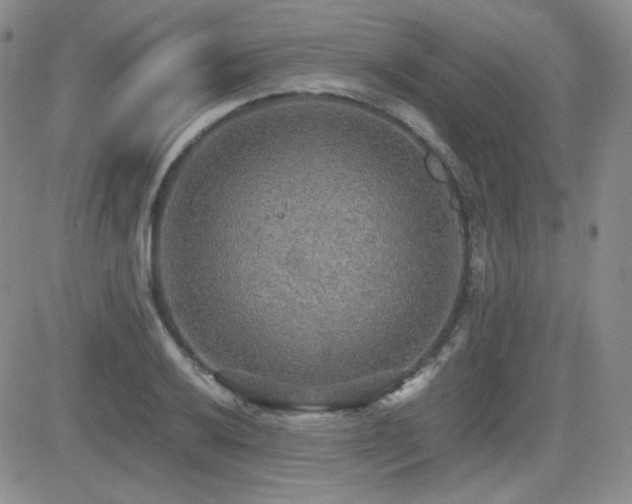 X0000081631032200701151420