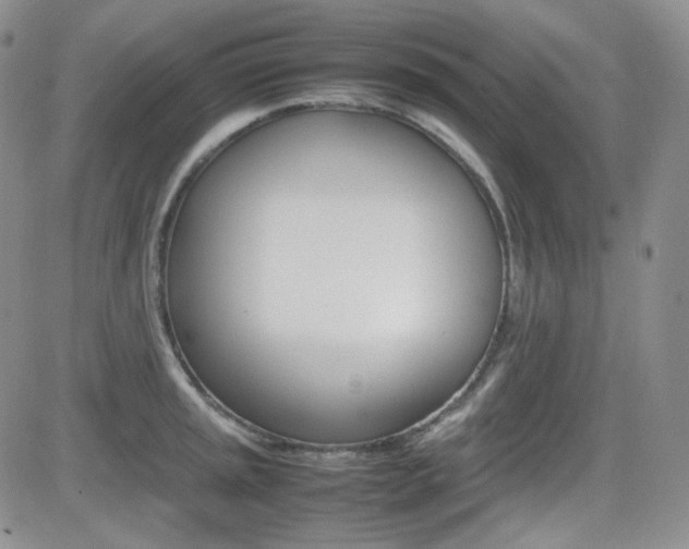 X0000081631045200701151420