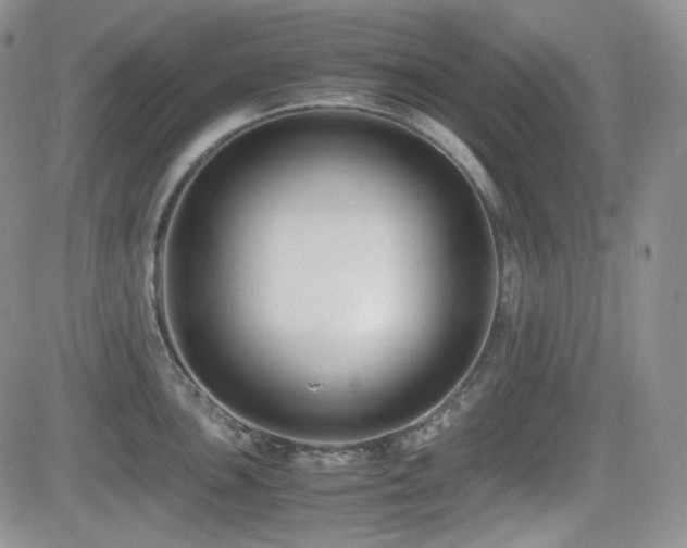 X0000081631051200701151420