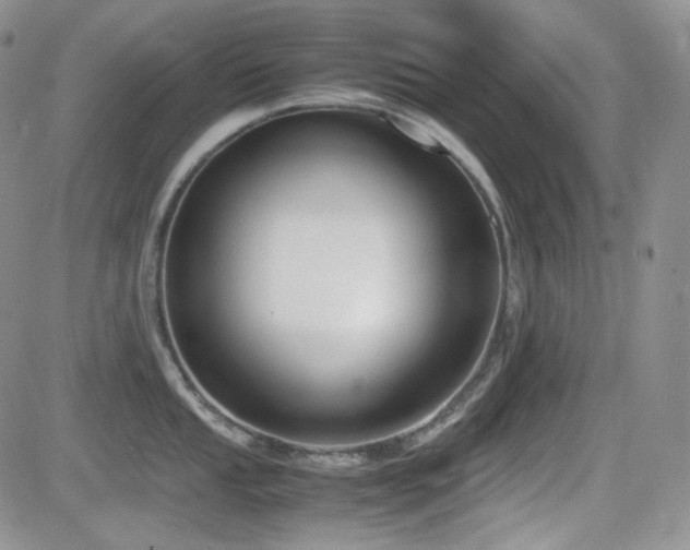 X0000081631053200701151420
