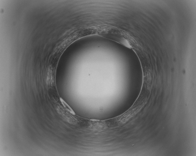 X0000081631058200701151419