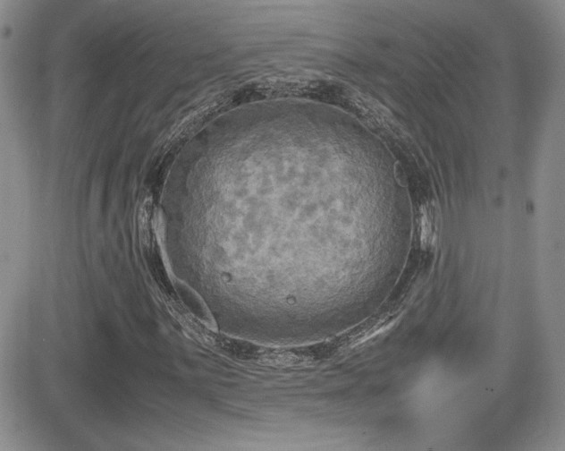 X0000081631059200701151419