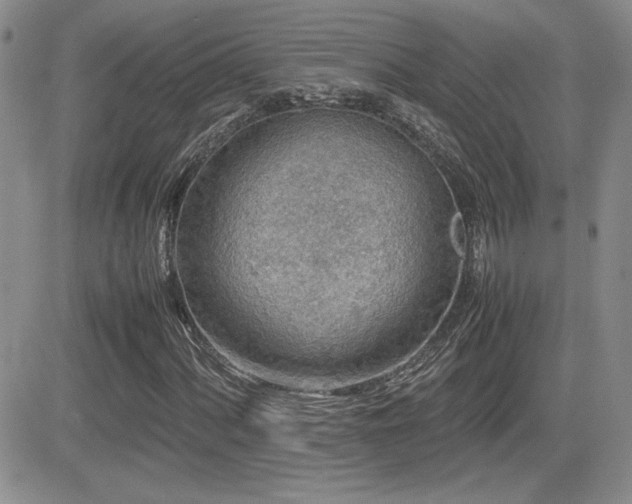 X0000081631060200701151419