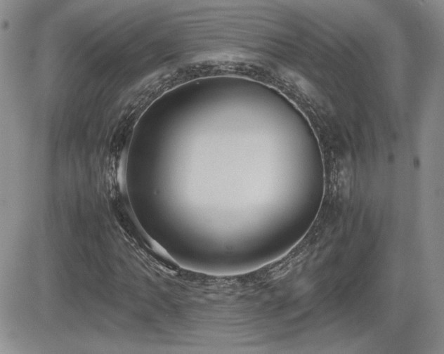 X0000081631062200701151419