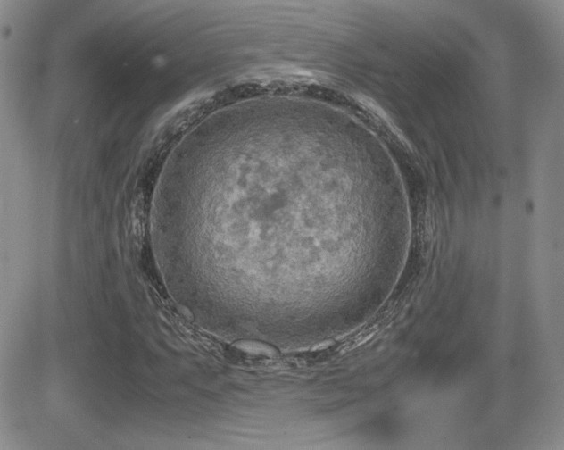 X0000081631063200701151419