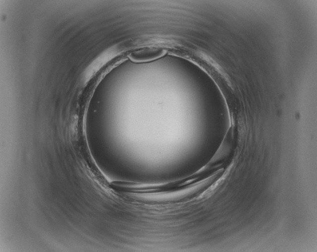 X0000081631066200701151419