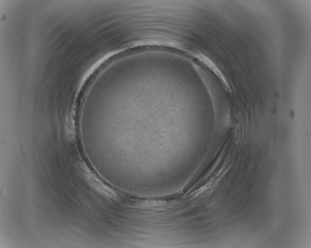 X0000081631068200701151419