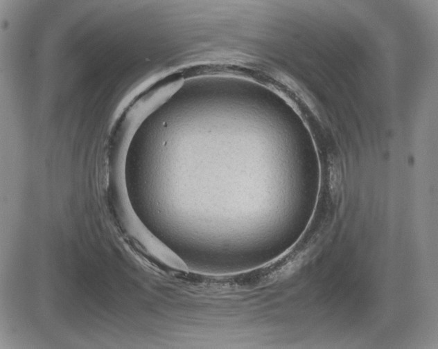 X0000081631069200701151419