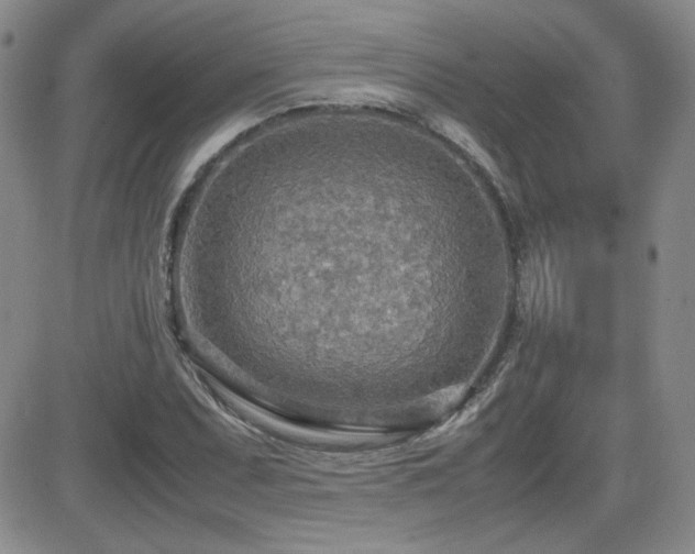 X0000081631071200701151419