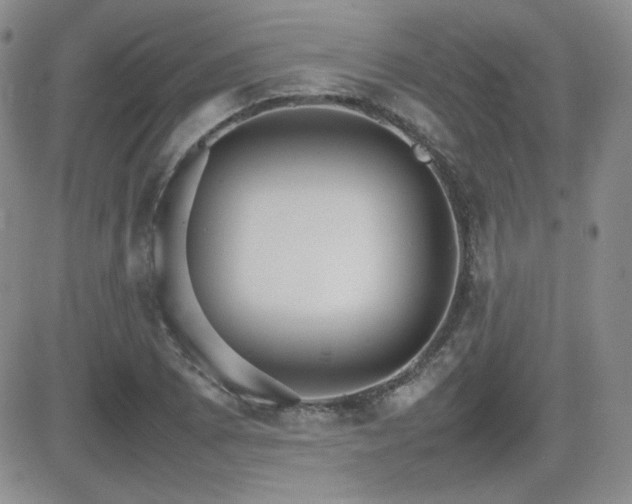 X0000081631073200701151419