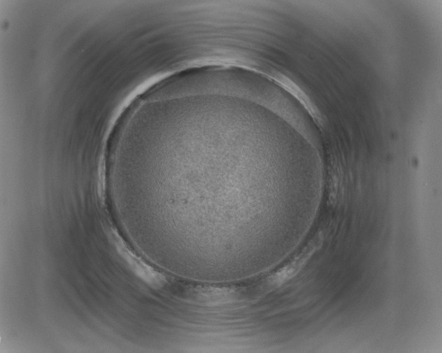 X0000081631076200701151419