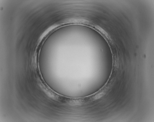 X0000081631078200701151419