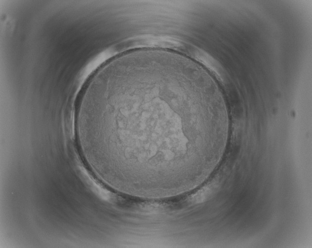 X0000081631079200701151419