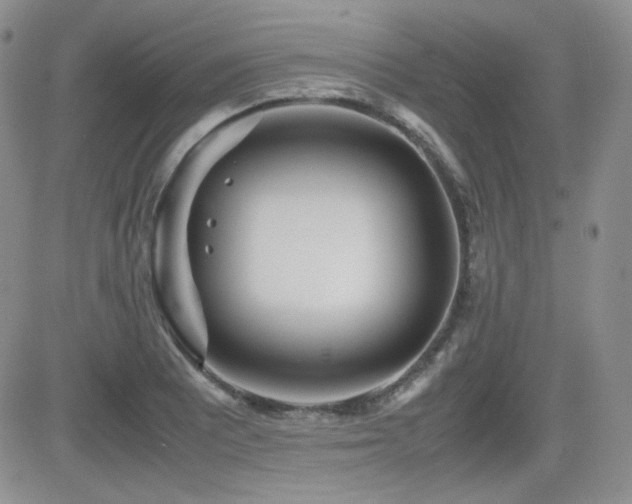 X0000081631081200701151419