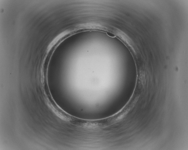 X0000081631082200701151419