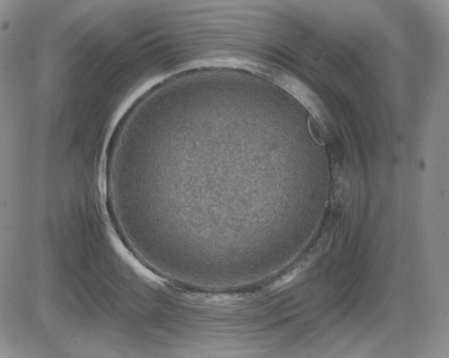 X0000081631084200701151419