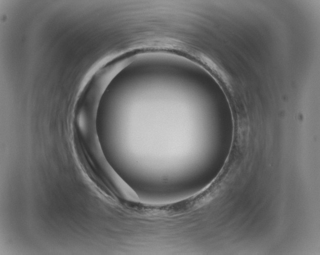 X0000081631085200701151419