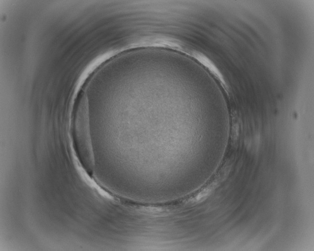 X0000081631088200701151419