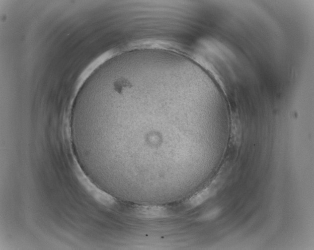 X0000081631090200701151419