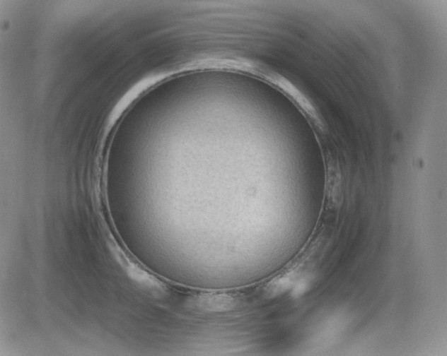 X0000081631094200701151419