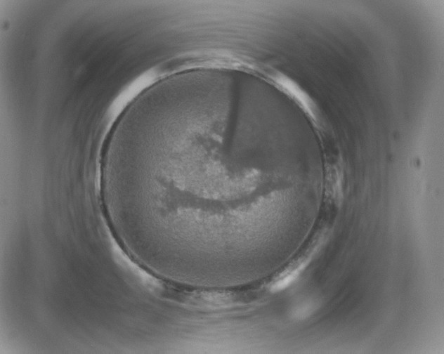 X0000081631095200701151419