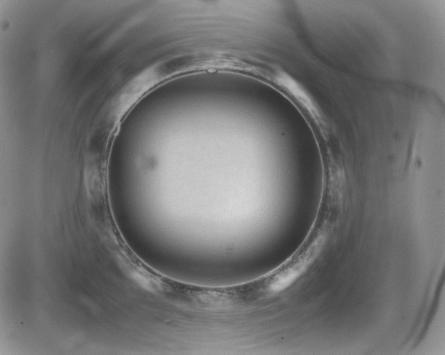 X0000081631097200701151419