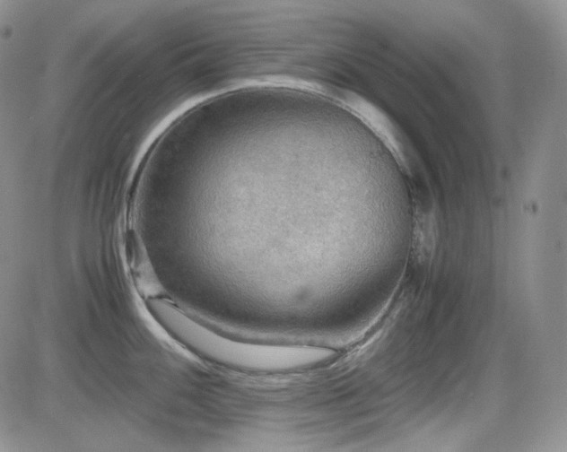 X0000081631100200701151419