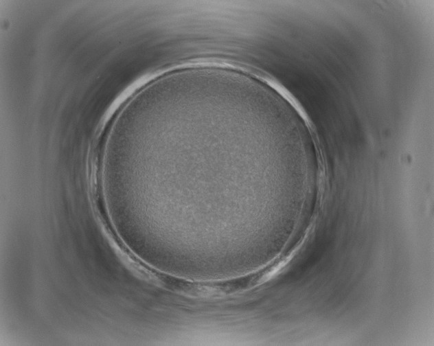 X0000081631101200701151419