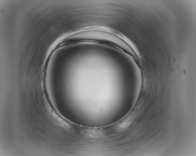 X0000081631102200701151419