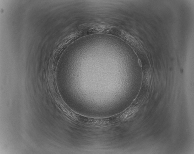 X0000081631105200701151418