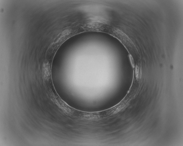 X0000081631107200701151418