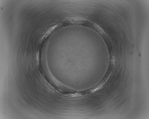 X0000081631108200701151418