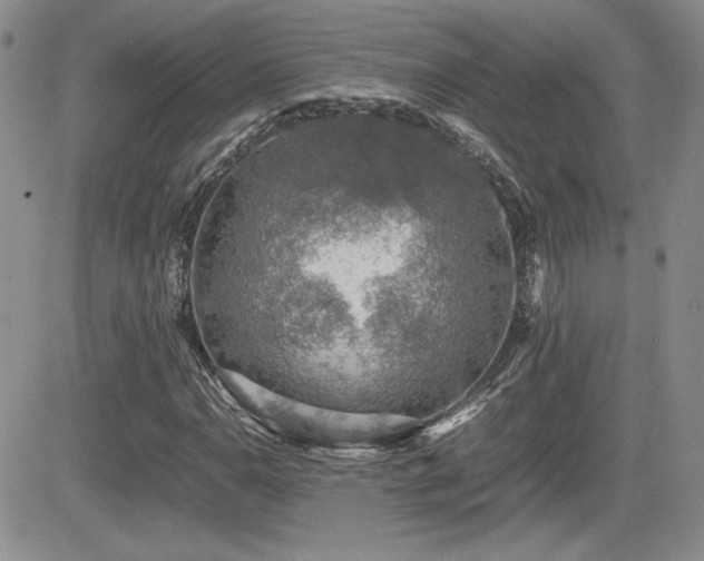 X0000081631110200701151418