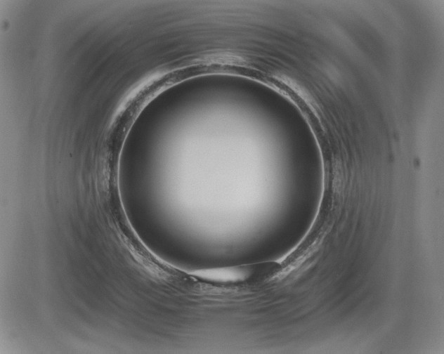 X0000081631115200701151418